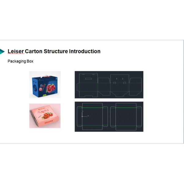 Leiser Corrugated Plastic Printed Ecommerce Packaging Boxes Eco Friendly