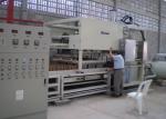 Reciprocating Recycled Full-auto Molded Pulp Machine Producing Seeding Pot
