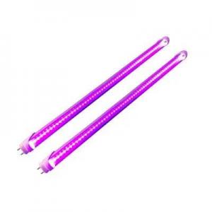 Quality UV Light And Cancer Led Lamp 6000k 6500k 365nm And 395nm No Flickering 10W 20W IP44 for sale