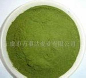 China 120mesh Wheat Grass Powder Super Green All Natural on sale