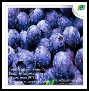 China factory supply pure natural organic bilberry extract,anthocyanidins 25% on sale