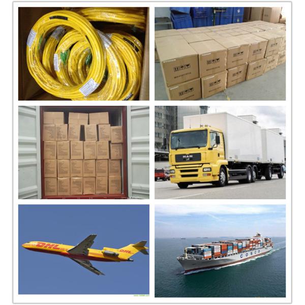 Indoor Fiber Optic Patch Cord