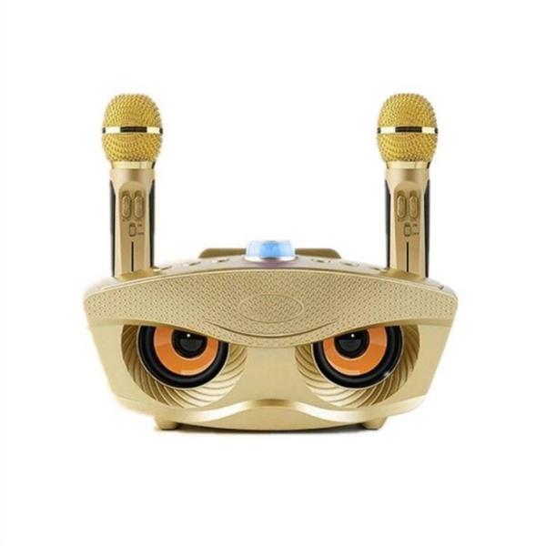 30W Family Karaoke Multifunctional Wireless Speak With Mic Recorder