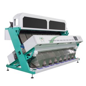 Quality 5t/H Chickpea Separator Machine Stainless 304 food grade Hopper for sale