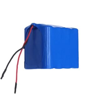 Long-lasting Marine Lithium Ion Battery 12V 12A for Motorcycles Cars Buses and