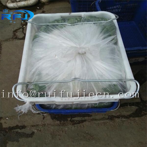 Seawater Scale Ice Block Machine , Countertop Flake Ice Maker CE LVD Certified