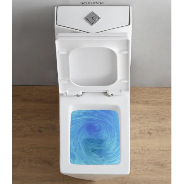 Ceramic One Piece Toilet with P Trap Dual Flush