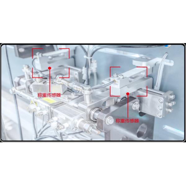 2.5KW Horizontal Pouch Packing Machine Linear Cylinder Feed Bag Packing Machine SUS304