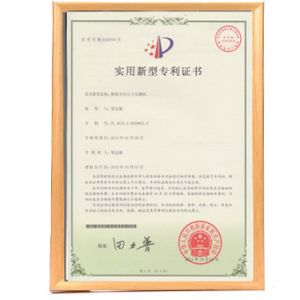 DONGGUAN MAUFUNG MACHINERY CO.,LTD Certifications