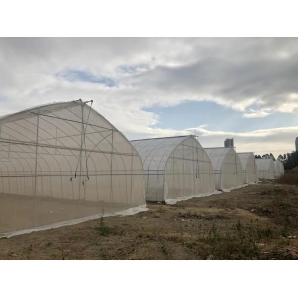 PE PO Film Tunnel Greenhouse Commercial Agricultural Greenhouse Customizable
