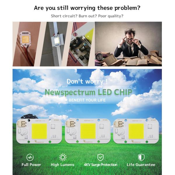Warm White Light 50 Watt Cob Led Chip Energy Saving Design Superior Waterproof