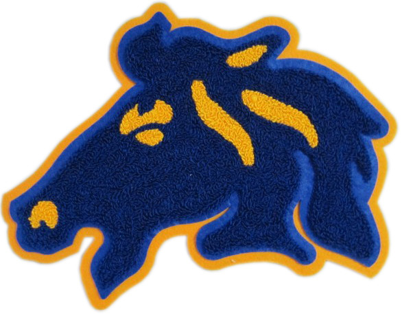 Heat Cut Border Custom Chenille Patches PMS Washable For Quotation