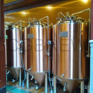 Quality 200L brewpub equipment for sale for small business on craft beer for sale