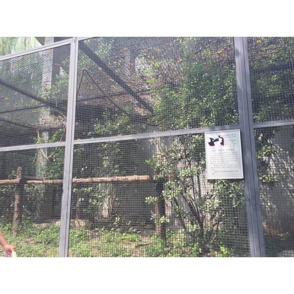aviary mesh for Medium Pet Birds