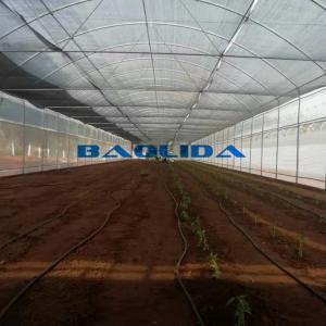 China Clear UV Treated Film Anti Rust Metal Structure Tunnel Greenhouse on sale