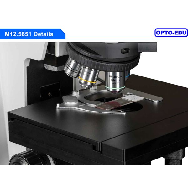 Opto Edu M12.5851 BF XYZ Stage Motorized Laboratory Biological Microscope