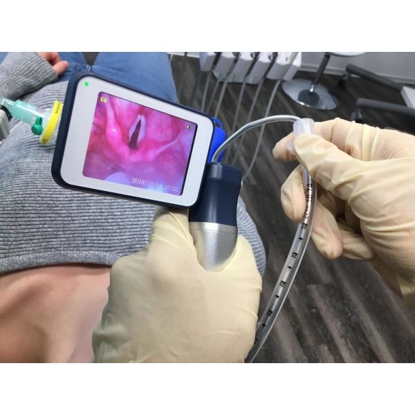 Veterinary flexible Bronchoscopy Fiber Optic Anesthesia video laryngoscopy airway pediatric stainless Miller Macintosh