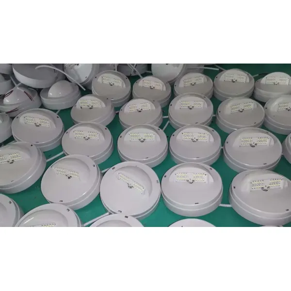 LED Emergency Spot Down Light ABS PC IP43 3W Back Up Lithium Battery