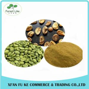 China Natural Pure Green Coffee Bean Extract Chlorogenic Acid 50% on sale