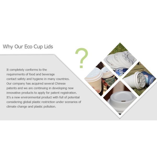 PFAS Free Biodegradable Molded Sugarcane Bagasse Disposable Coffee Cup Lids