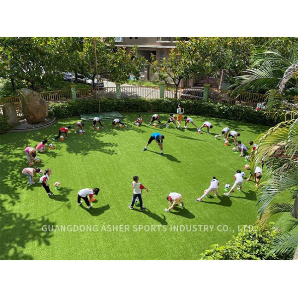 Synthetic Garden Artificial Grass Turf Astro Type Polyethylene Material