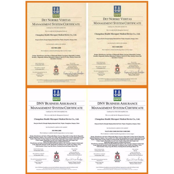 endoscopy flushing biopsy valve