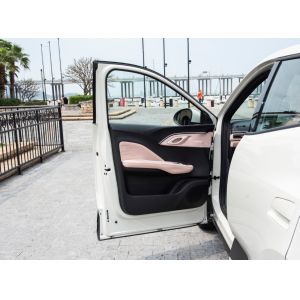 Buy In Stock Export Fast Ship Smart Sport Automotive Motor Power BYD EV Car