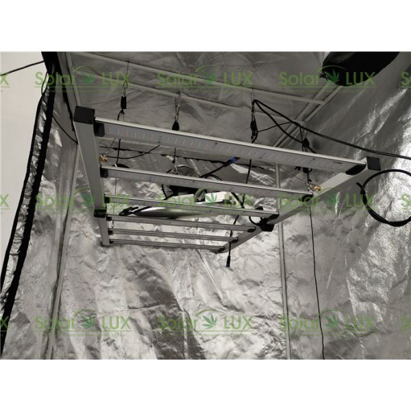 Free Assemble HLG Lm301h 330w Hydroponic Led Grow Light