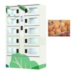 OEM Refrigerated Cooling Locker Style Egg Vending Machine With Touch Screen