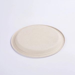 Waterproof Eco Friendly Disposable Sugarcane Bagasse Food Container