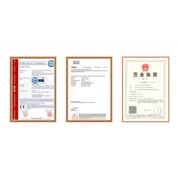 12m Multi Span Polycarbonate Greenhouse For Exhibition