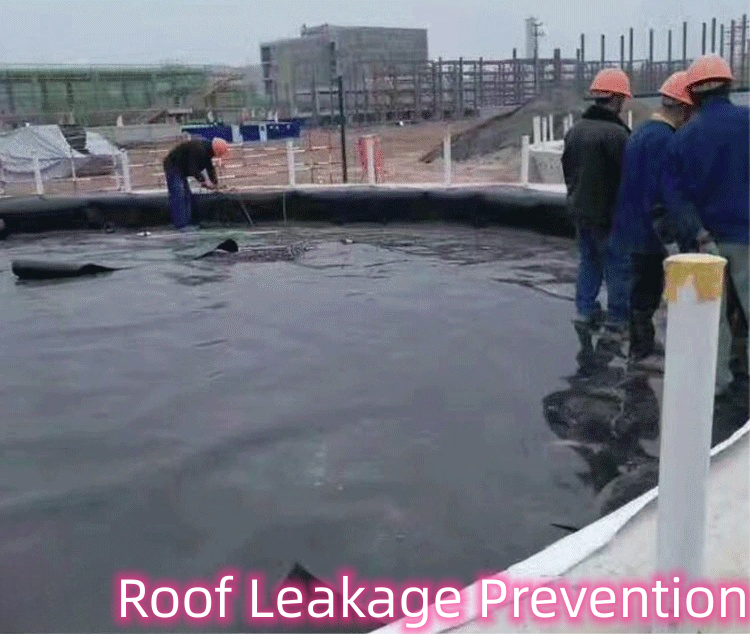 Smooth Geomembrane 0.3mm 0.8mm for Aquaculture Graphic Design Capability Modern Design