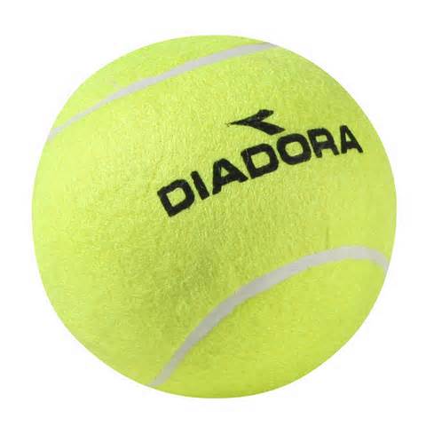 inflatable jumbo fun ball