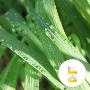 Quality Cas 8007 02 1 Wholesale price Pure natural Organic Lemon Grass oil For Aromatherapy for sale