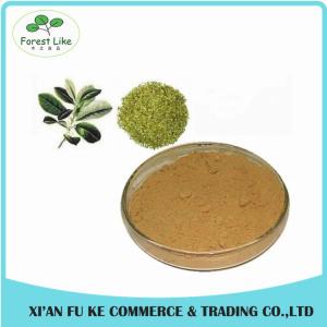 Quality Best Selling Natural Yerba Mate Extract Polyphenol Tannin acid for sale