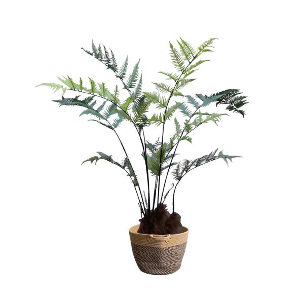 150cm Height Artificial Green Potted Bonsai Window Corner Landscaping Large Fern Tree