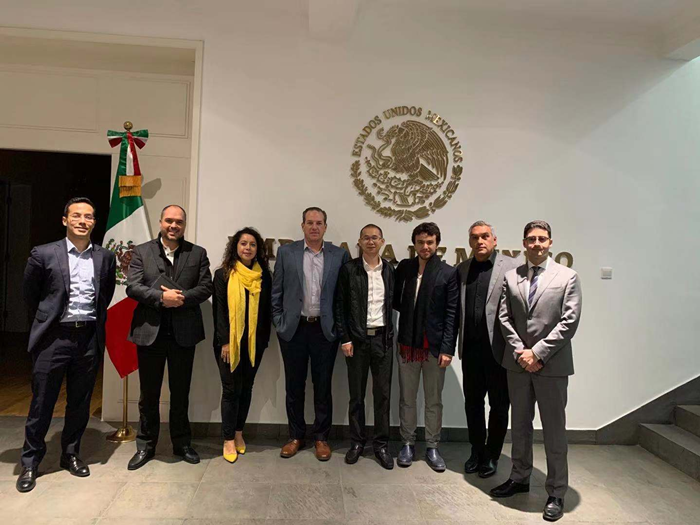 Oem Painless Opt Shr Ipl Machine Permanent Fast Hair Removal