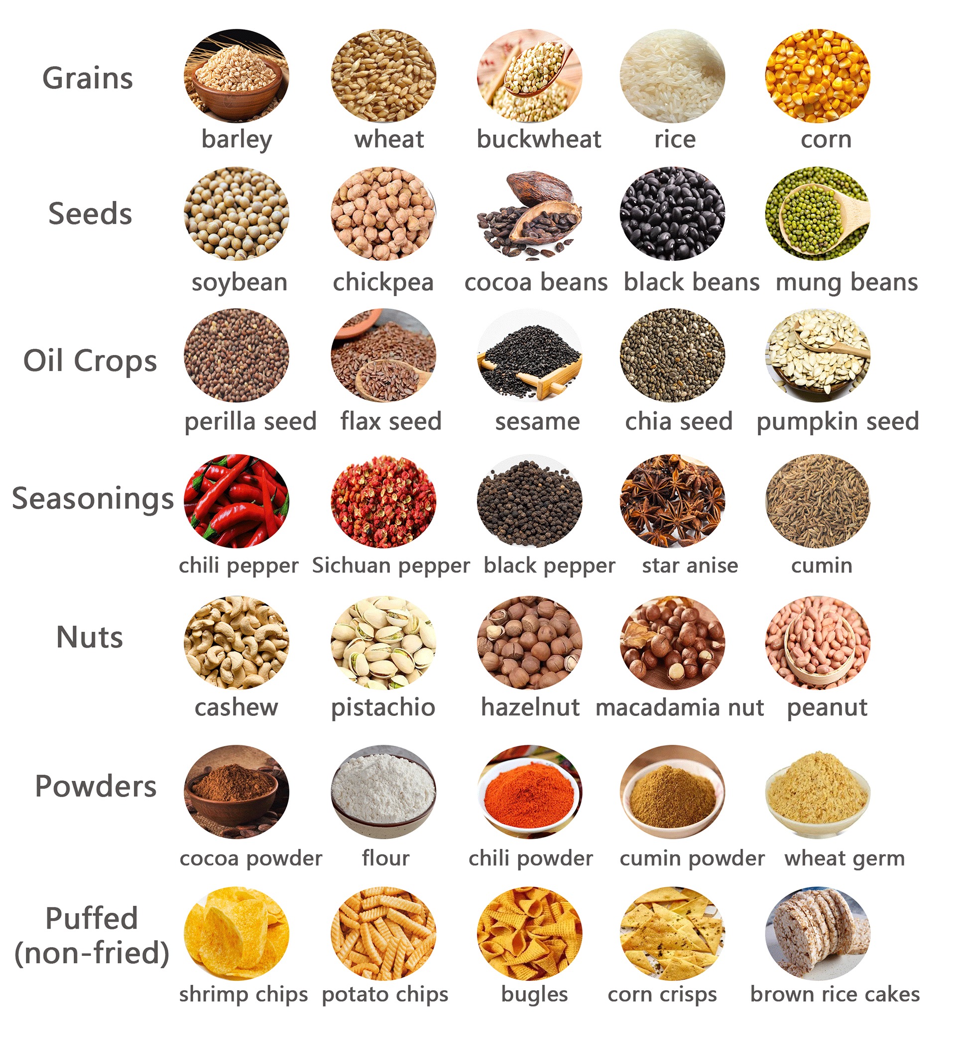 Multi Function Grain Seed Roasting Machine Touch Screen Spice Corn Cocoa Bean Roaster