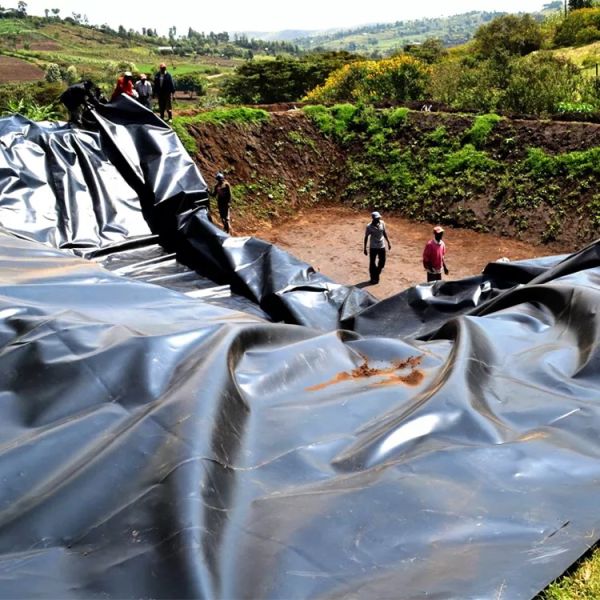 Direct HDPE Geomembrane Waterproof Liner 2mm HDPE Geomembrane Liner for Fish Pond Dam