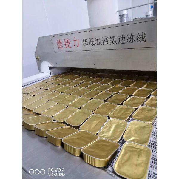 DJL Liquid Nitrogen Cooling Tunnel Freezing Equipment For High Quality