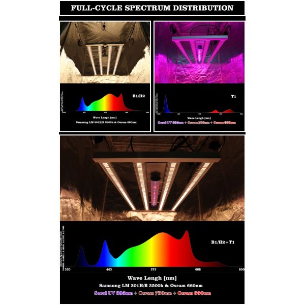Free Assemble HLG Lm301h 330w Hydroponic Led Grow Light