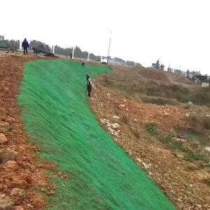 Quality Easy Set Black Green Erosion Control Mat for 3D Geomat on Railway and Mountain Slopes for sale
