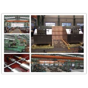 Quality Professional High Efficiency Industrial Homogenizer for Milk Processing for sale