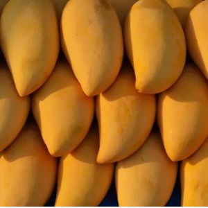 Quality Concentrated Mixed Fruit Jam Processing Line High Capacity / Efficiency for sale