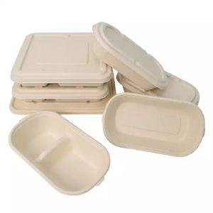 Disposable Compostable Take Away Food Containers Sugarcane Bagasse Tableware Box