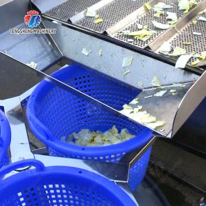 Potato Carrot Lettuce Mushrooms Bamboo shoots chili Spinach Passion Fruit