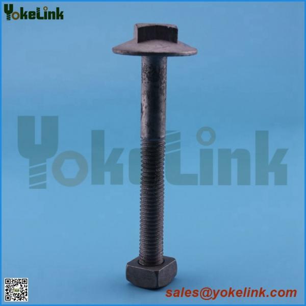 Buy 3/8'' Brace bolt /washer head bolt at wholesale prices
