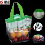 Color Printed Zipper Lock Bags Fruit Packaging Laminated Punch Plastic Material