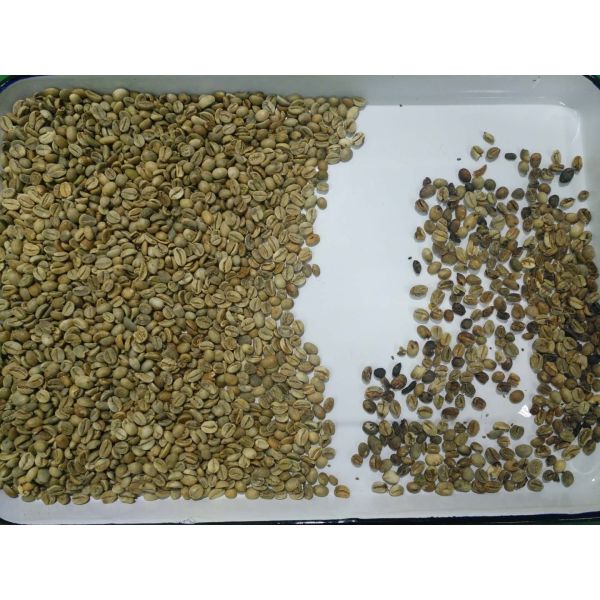 Customizable Dry Beans Gravity Separator Machine Coffee Bean Color Sorting And Cleaning Machine For Sale