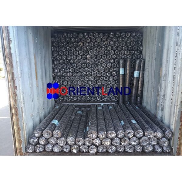 1/2" Hot Dipped Galvanized Hexagonal Wire Netting 4ft Hight